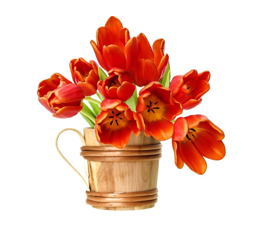 750555 (a): :2200x1952
